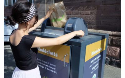 Les défis et solutions pour la collecte des biodéchets à l&rsquo;aube de la nouvelle réglementation en 2024